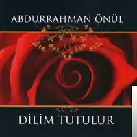 Abdurrahman Önül – Allah’a Kul Olamadım Albüm Kapağı