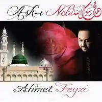 Ahmet Feyzi – Sen Gidince Albüm Kapağı