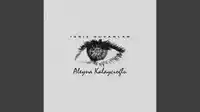 Aleyna Kalaycıoğlu – Issız Duvarlar Albüm Kapağı
