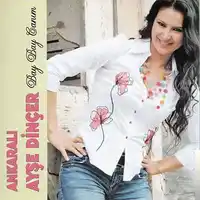 Ayşe Dinçer – Efendim İşitmedim Albüm Kapağı