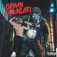 Ben Fero – Demet Akalın Albüm Kapağı
