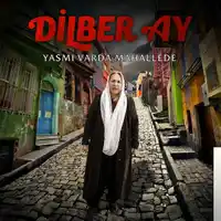 Dilberay – Telli Turnam Albüm Kapağı