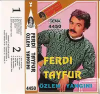 Ferdi Tayfur – Hiç Sevmedim Albüm Kapağı