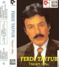 Ferdi Tayfur – Senin İçin Albüm Kapağı