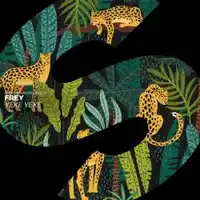 Frey – Yeke Yeke Albüm Kapağı