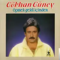 Gökhan Güney – Aramızda Dağlar mı Var Albüm Kapağı