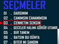 Hüseyin Altın – Niye Doğdum