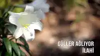 İlahiler – En Güzel Müziksiz İlahiler Albüm Kapağı