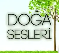 Karışık Sesler – Gök Gürültülü Sağanak Yağmur Sesi