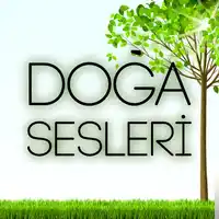 Karışık Sesler – Gök Gürültülü Sağanak Yağmur Sesi Albüm Kapağı