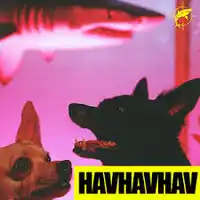 Lvbel C5 – HAVHAVHAV Albüm Kapağı