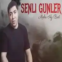 Mahir Ay Brat – Unutma Sevgilim Albüm Kapağı