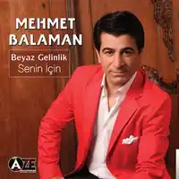 Mehmet Balaman – Nerdesin Albüm Kapağı