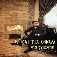 Mücahit Kolonkaya – Dağlarına Kar Olurum Yar Albüm Kapağı