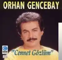 Orhan Gencebay – Yaşamak Bu Değil Albüm Kapağı