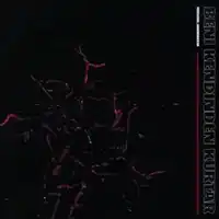 Perdenin Ardındakiler – Ankarayla Bozuşuruz Albüm Kapağı