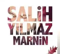 Salih Yılmaz – Şelale