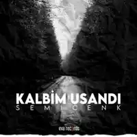 Semicenk – Düşer Aklıma Albüm Kapağı