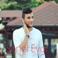 Şenol Evgi – Seviyorsan Ailenle Tanıştır Albüm Kapağı