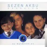 Sezen Aksu – Kusura Bakma Albüm Kapağı
