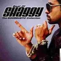 Shaggy – Hey Sexy Lady Albüm Kapağı