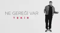 Tekir – Ne Gereği Var