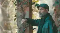Uğur Işılak – İçinde Bir Sızı Kalır Albüm Kapağı