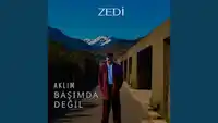 Zedi – Düşüşlerim Fazla Albüm Kapağı